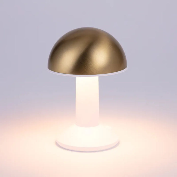 Nordic Style Gold Brass Table Lamp Present Them