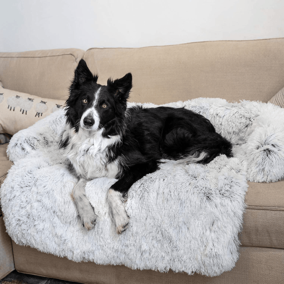 Sofa Plush Calming Dog Blanket - Present Them