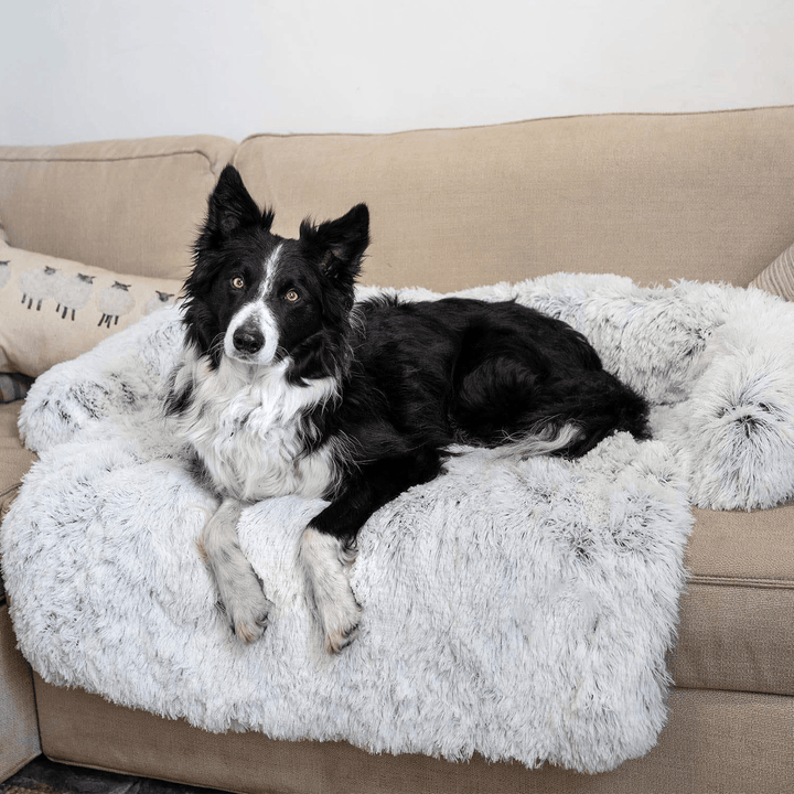 Sofa Plush Calming Dog Blanket - Present Them