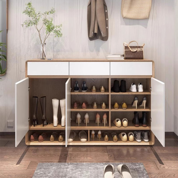 MAS-3167 Masdio Modern Shoe Cabinet