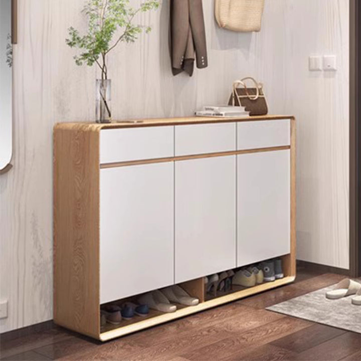 MAS-3167 Masdio Modern Shoe Cabinet