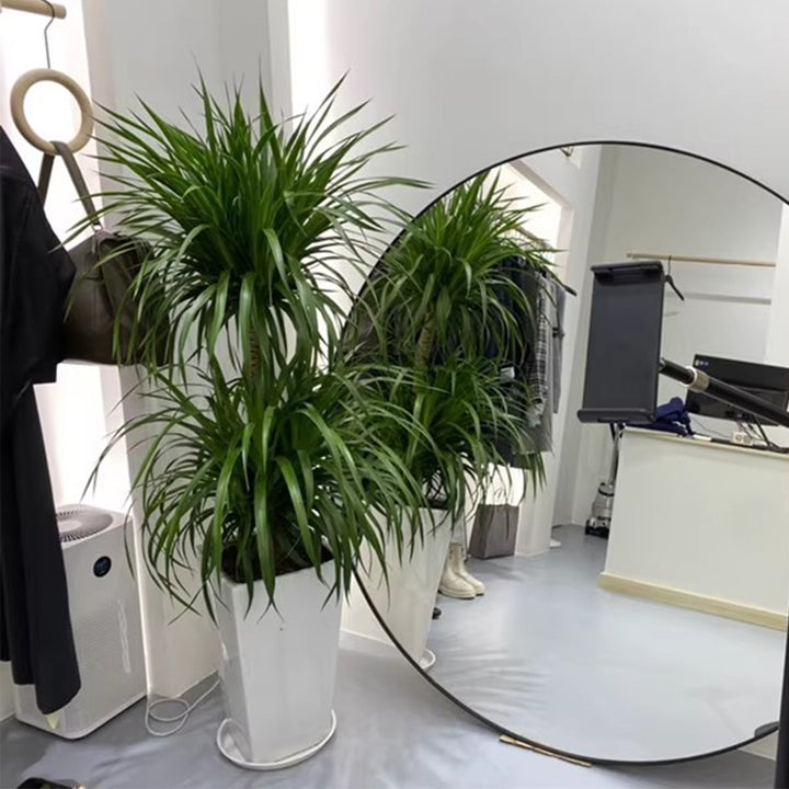 MAS-3474 Masdio Modern Stainless Steel Round Mirror