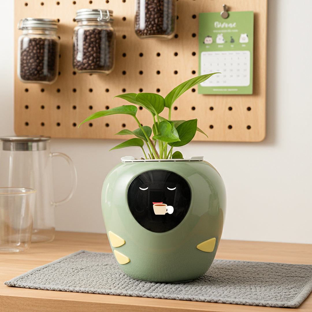 Masdio Smart Flowerpots