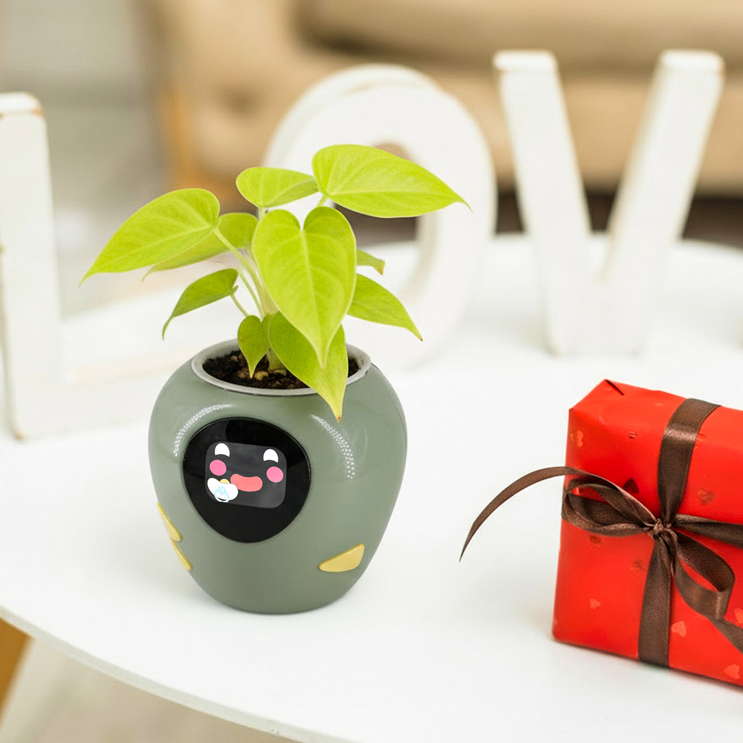 Masdio Smart Flowerpots