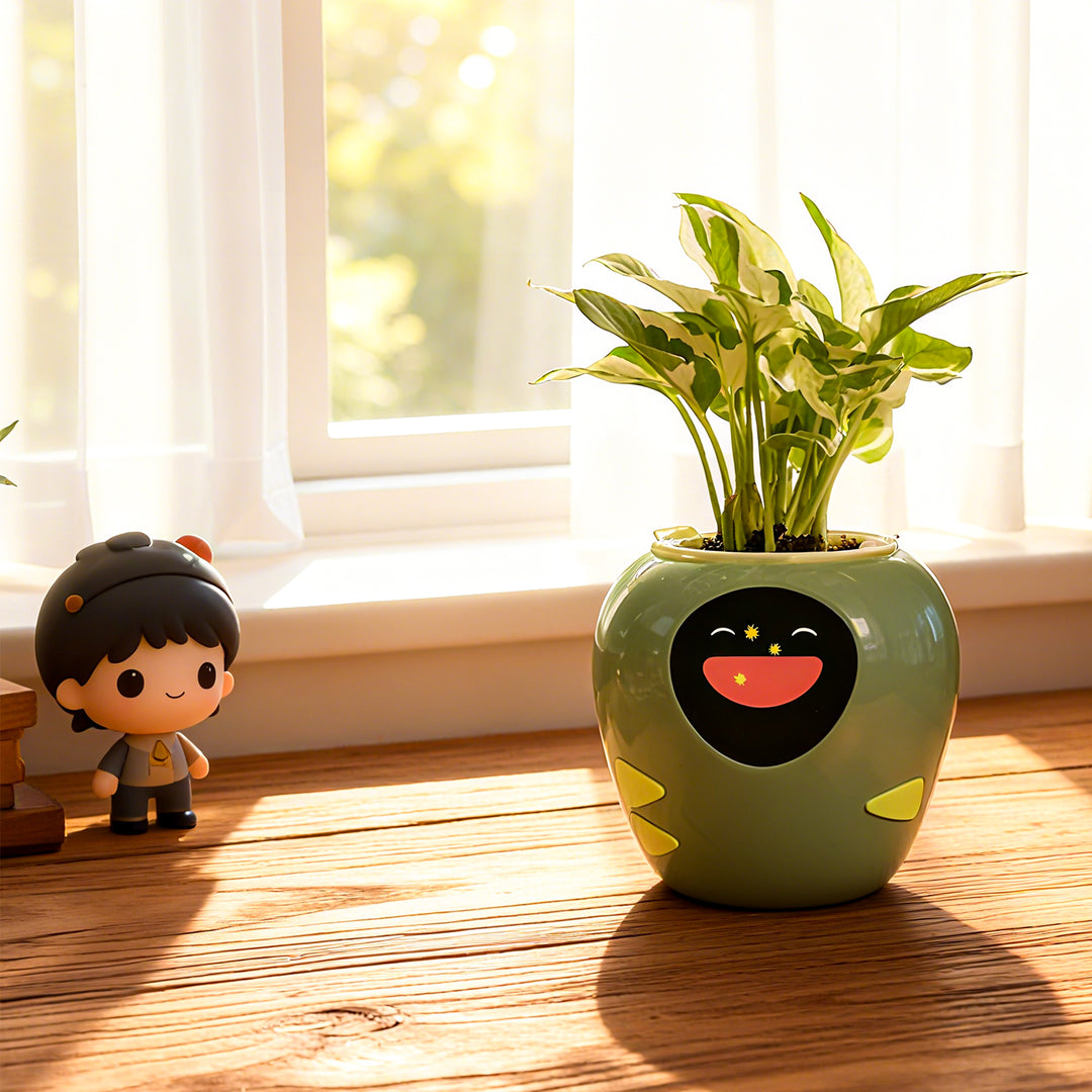 Masdio Smart Flowerpots