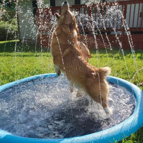 Outdoor Sprinkler Pad for Pets & Kids