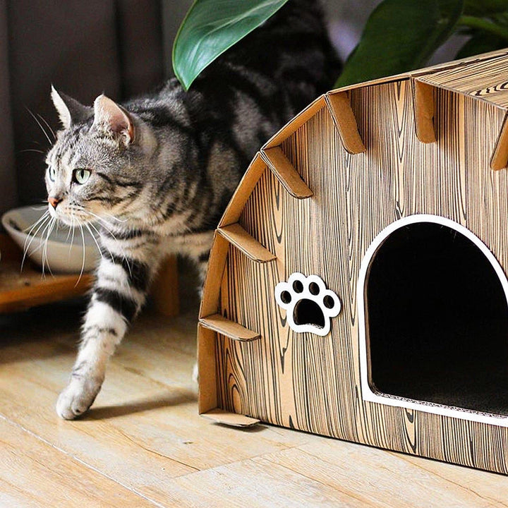 Cat House with Scratcher Present Them