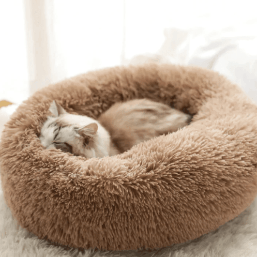 Calming Pet Bed Present Them