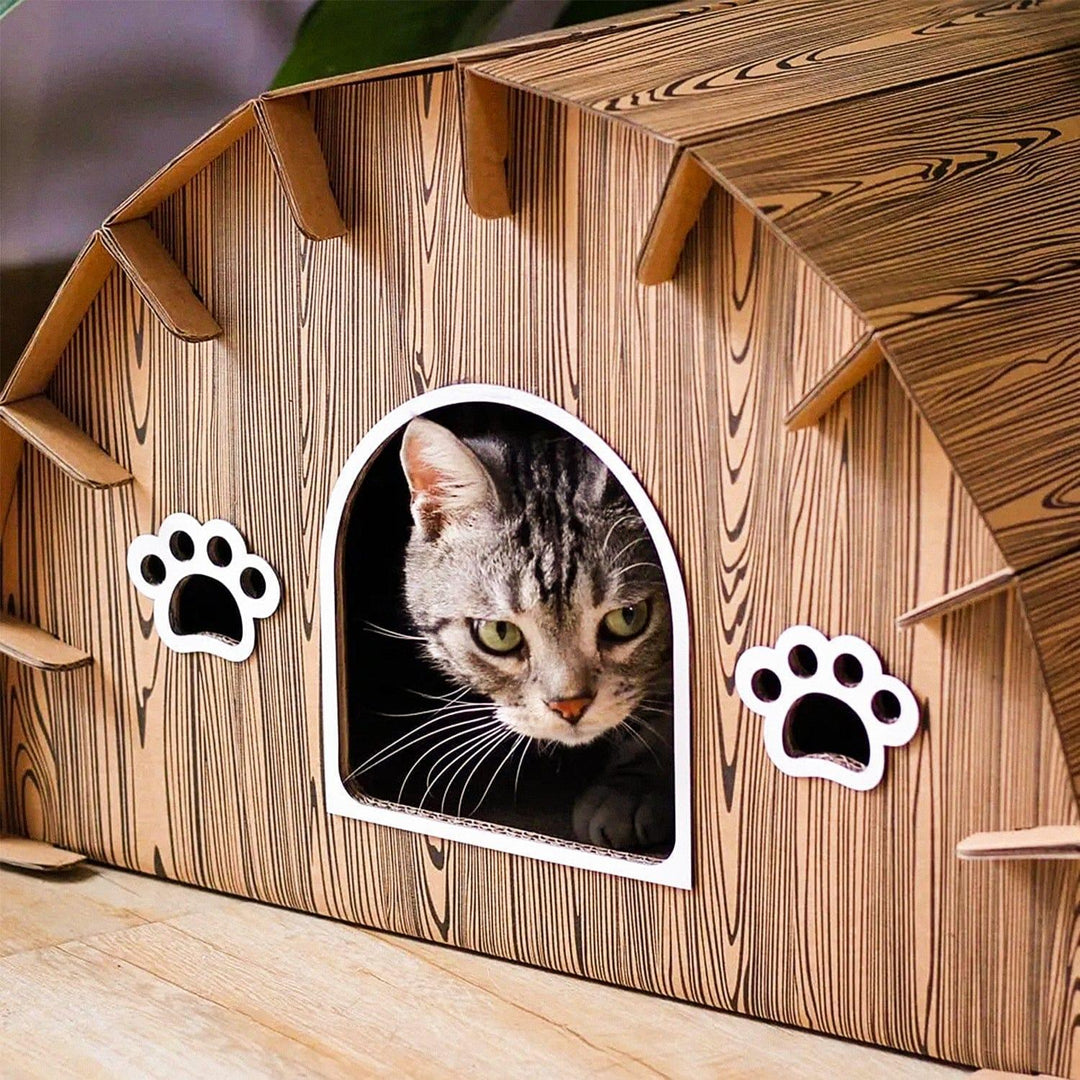 Cat House with Scratcher Present Them