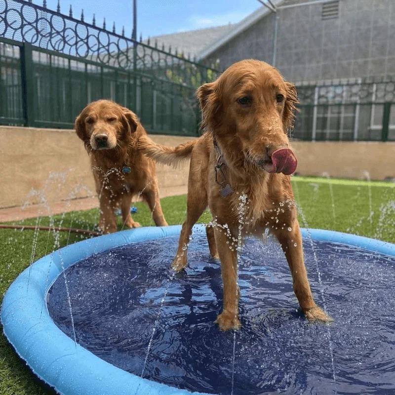 Outdoor Sprinkler Pad for Pets & Kids