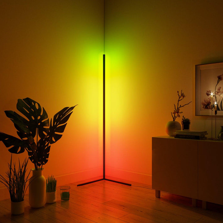 Halo Floor Lamp - Present Them