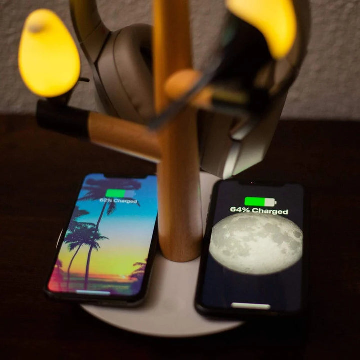 Bird's Lamp with dual wireless charger