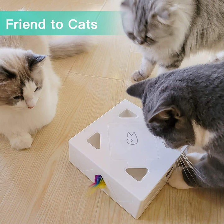 Cat Fun Box Present Them