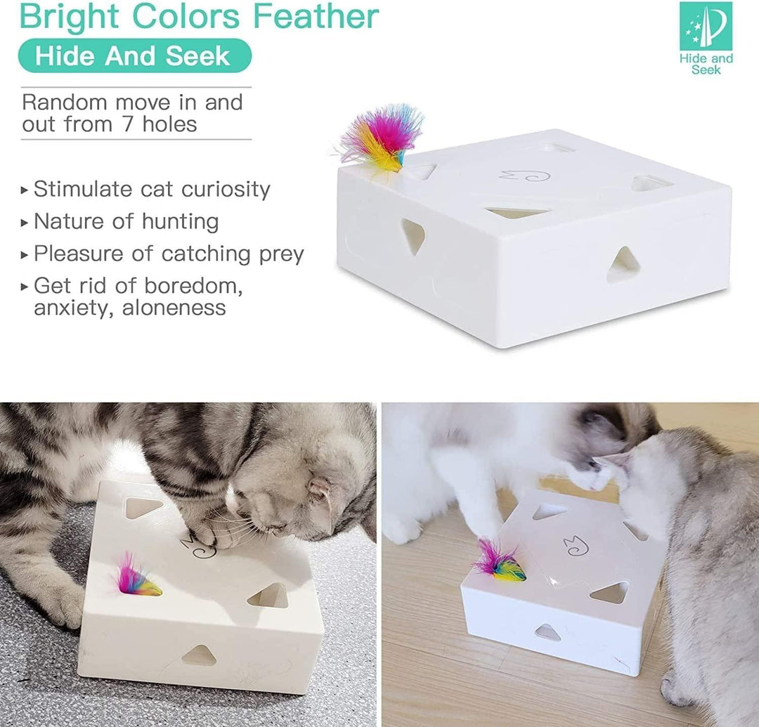 Cat Fun Box Present Them