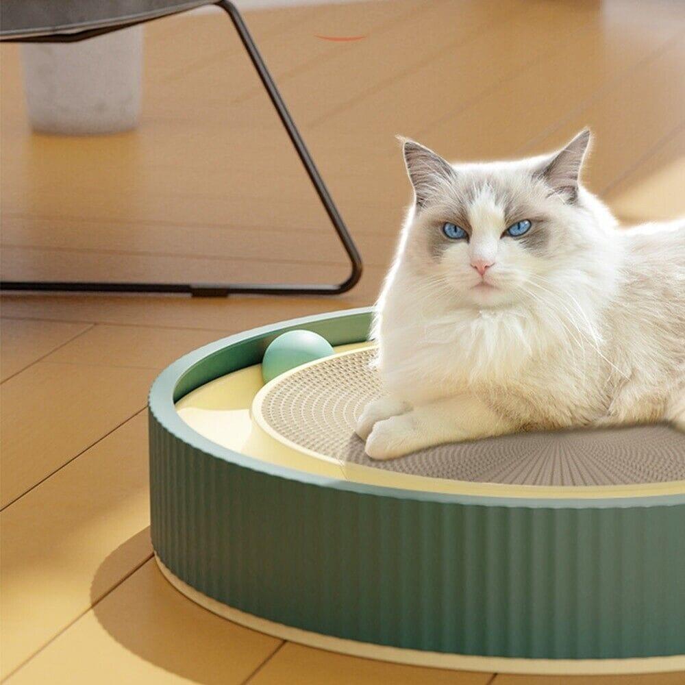 Cat Scratching Board  with Ball Present Them