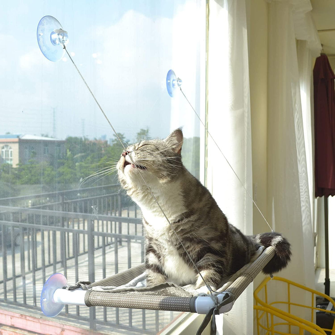 Cat Window Perch Present Them