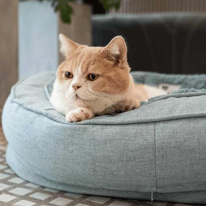 Soft Dog Bed - Donut - Present Them