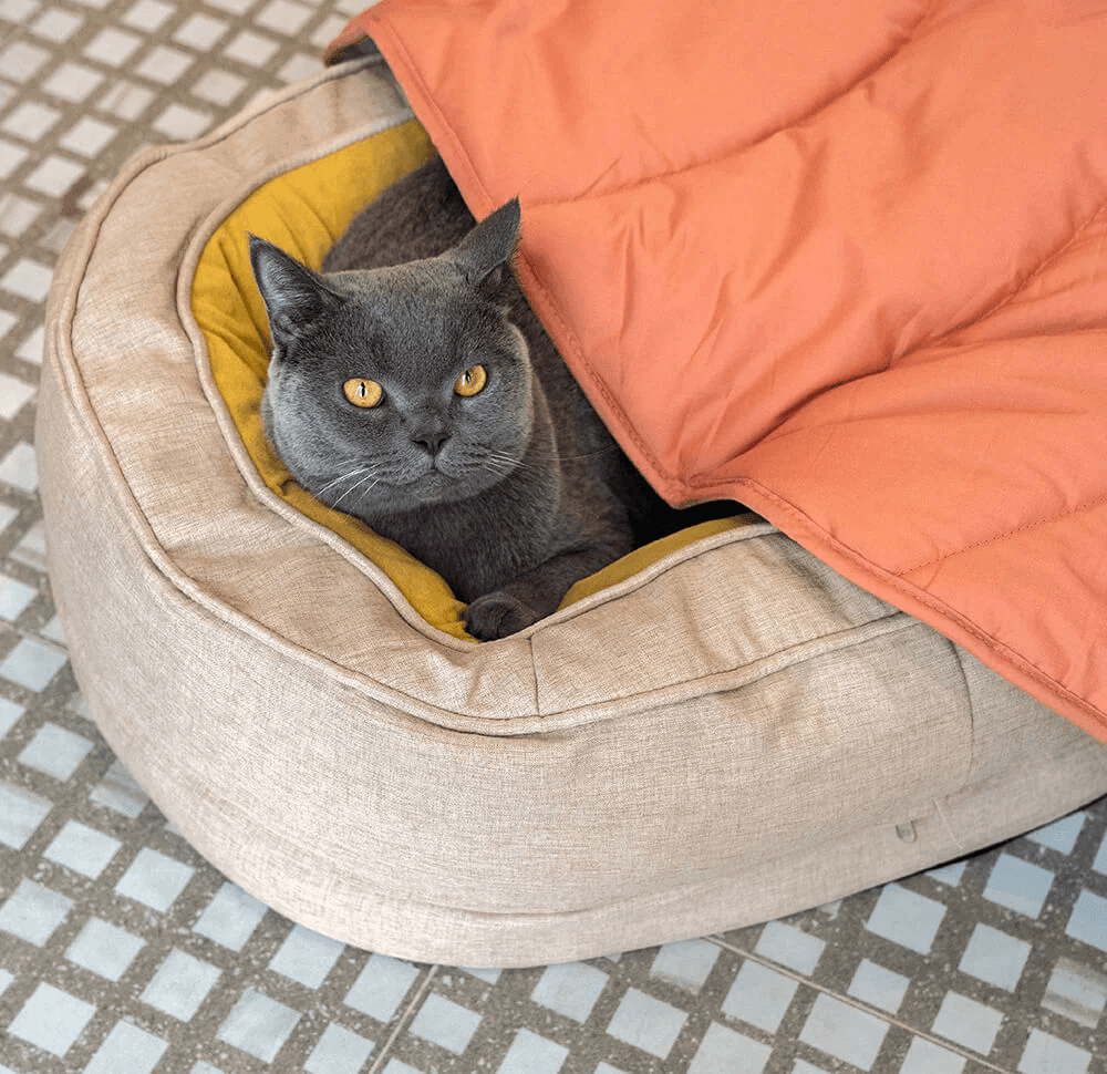 Soft Dog Bed - Donut - Present Them