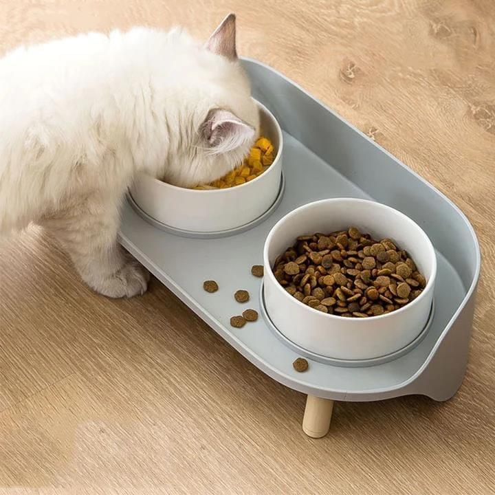 Dual Ceramics Pet Bowls