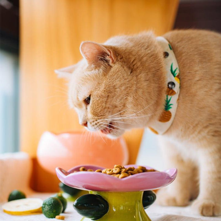 Flower Shape Pet Bowl