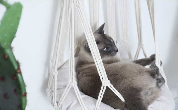 Macrame Cat Hammock