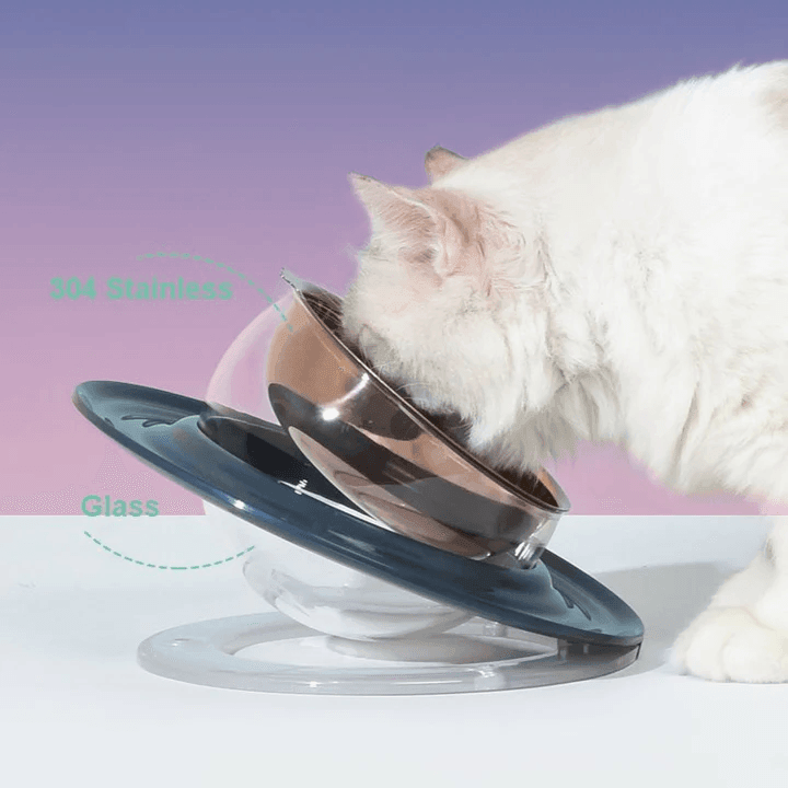 Planet Shaped Pets Bowl