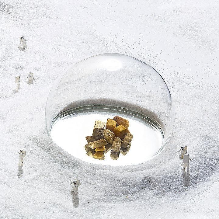 Planet Shaped Pets Bowl