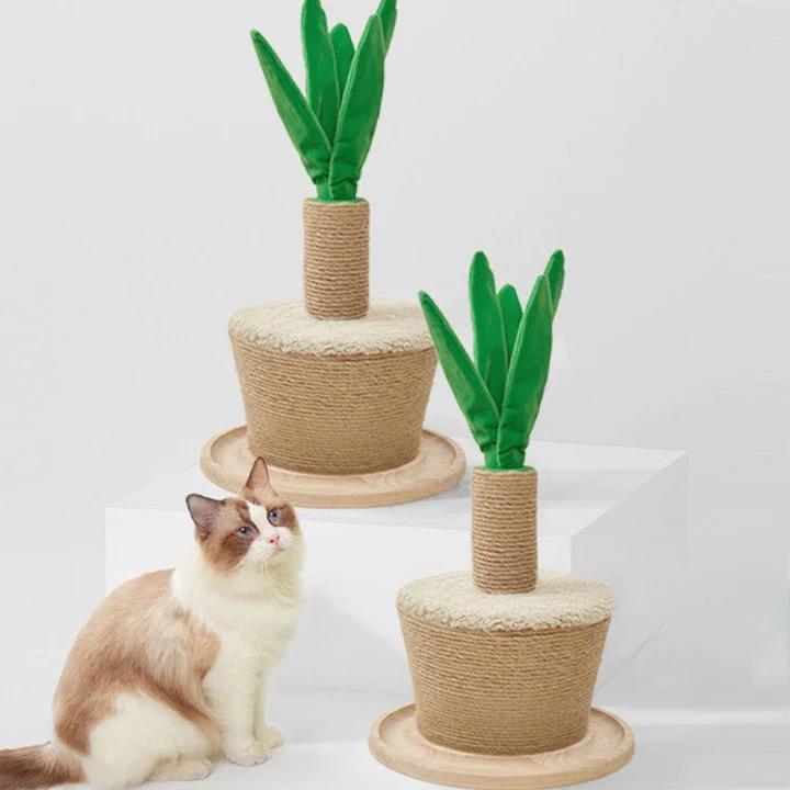 Potted Plants Scratching Post