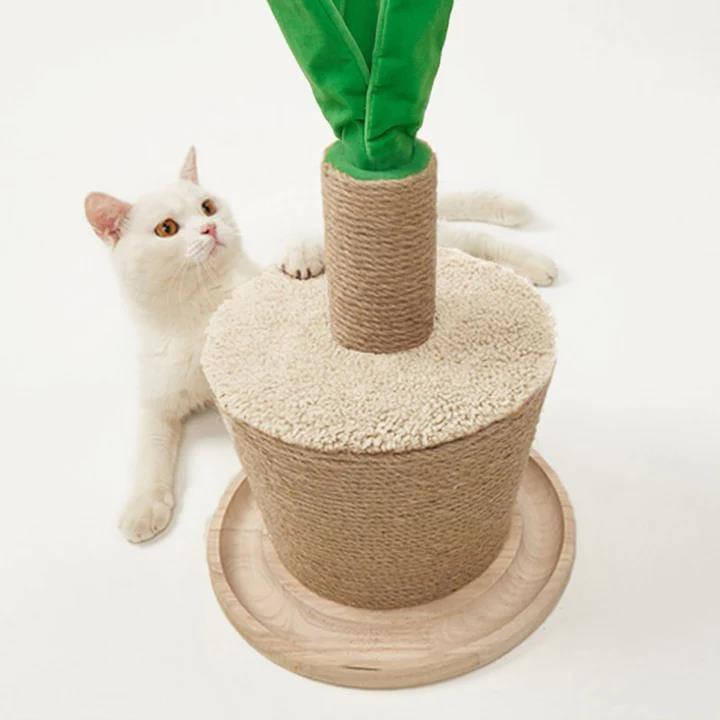 Potted Plants Scratching Post